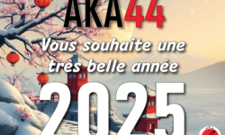 VOEUX 2025